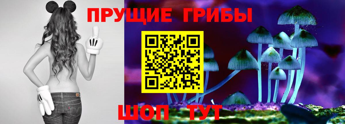 Хабаровск  Галлюциногенные грибы прущие грибы  Галлюциногенные грибы мицелий  Вход с VPN 