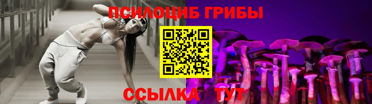 Галлюциногенные грибы GOLDEN TEACHER Хабаровск